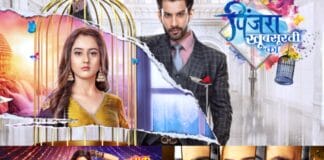 Truth on Hold in Colors three Popular Shows