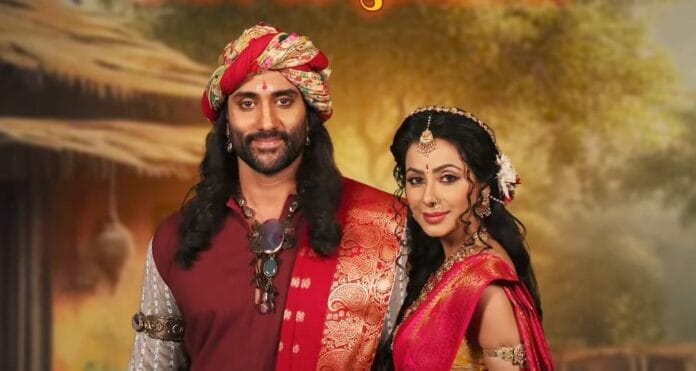 shiv